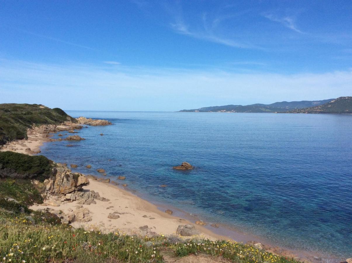 Figarella Appartement Propriano (Corsica)